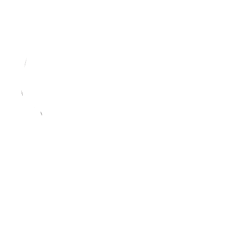 Black Bear Tree Care Ltd.
